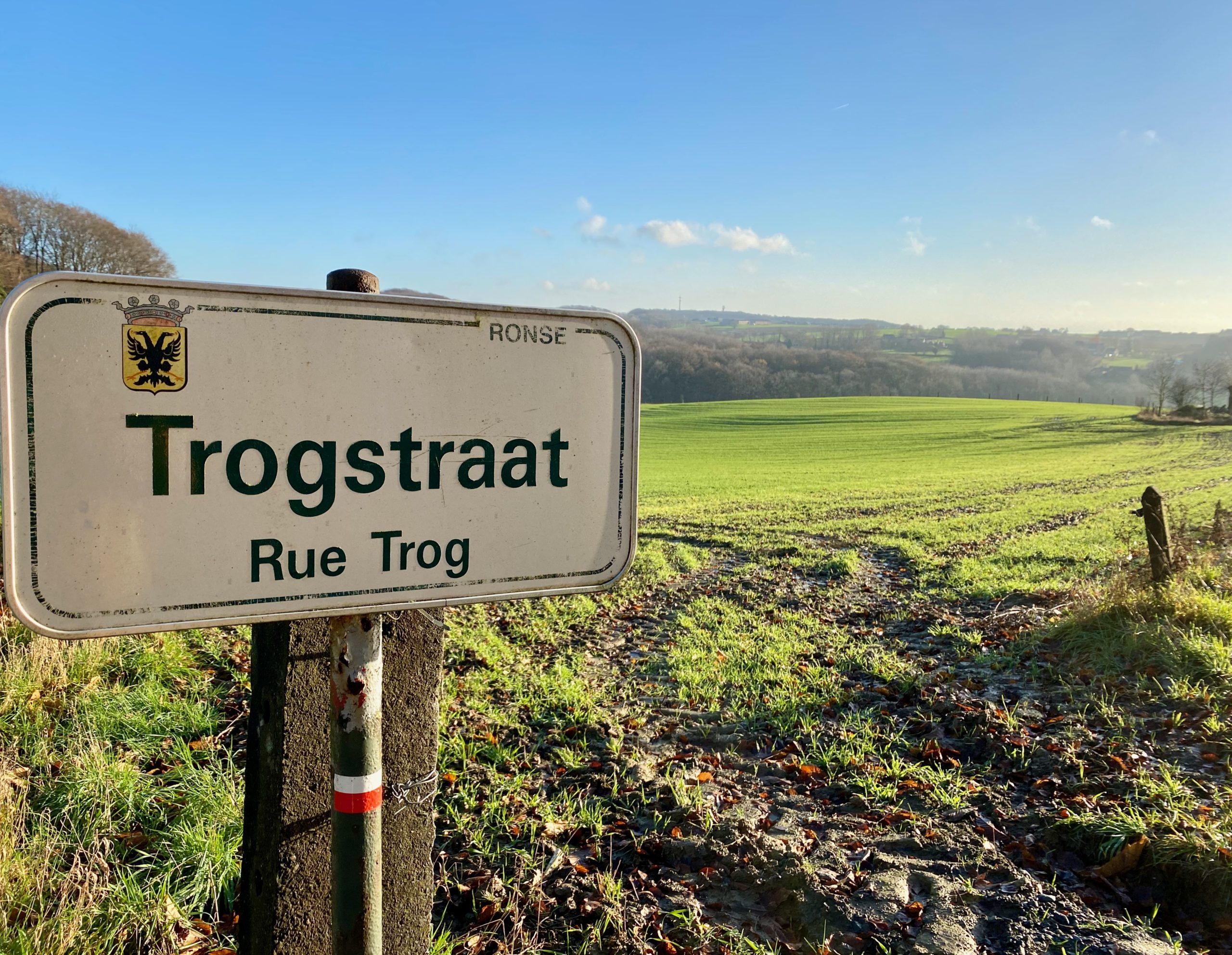  Je wordt direct ondergedompeld in de betoverende sfeer van het Muziekbos en bij het verlaten van de bosweg krijg je meteen al een staaltje van wat deze streek te bieden heeft: glooiende heuvels en groene velden, een occasionele kerktoren of ouderwetse windmolen en meanderende weggetjes zo ver het oog reikt.