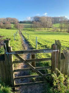 Wandelwalhalla Challenge wandelroute in de Vlaamse Ardennen. Je wordt direct ondergedompeld in de betoverende sfeer van het Muziekbos en bij het verlaten van de bosweg krijg je meteen al een staaltje van wat deze streek te bieden heeft: glooiende heuvels en groene velden, een occasionele kerktoren of ouderwetse windmolen en meanderende weggetjes zo ver het oog reikt.