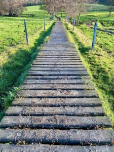 Wandelwalhalla Challenge wandelroute in de Vlaamse Ardennen. Je wordt direct ondergedompeld in de betoverende sfeer van het Muziekbos en bij het verlaten van de bosweg krijg je meteen al een staaltje van wat deze streek te bieden heeft: glooiende heuvels en groene velden, een occasionele kerktoren of ouderwetse windmolen en meanderende weggetjes zo ver het oog reikt.