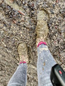 Wandelwalhalla Challenge wandelroute in de Vlaamse Ardennen. Je wordt direct ondergedompeld in de betoverende sfeer van het Muziekbos en bij het verlaten van de bosweg krijg je meteen al een staaltje van wat deze streek te bieden heeft: glooiende heuvels en groene velden, een occasionele kerktoren of ouderwetse windmolen en meanderende weggetjes zo ver het oog reikt. En veel modder...