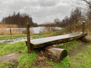 Hooilanden en moerassen in de Damvallei te Destelbergen / Laarne