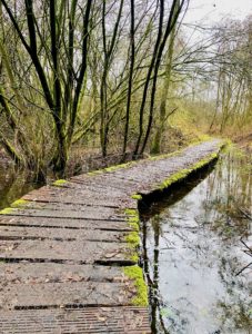 Vlonderpad op het Laarzenpad te Laarne