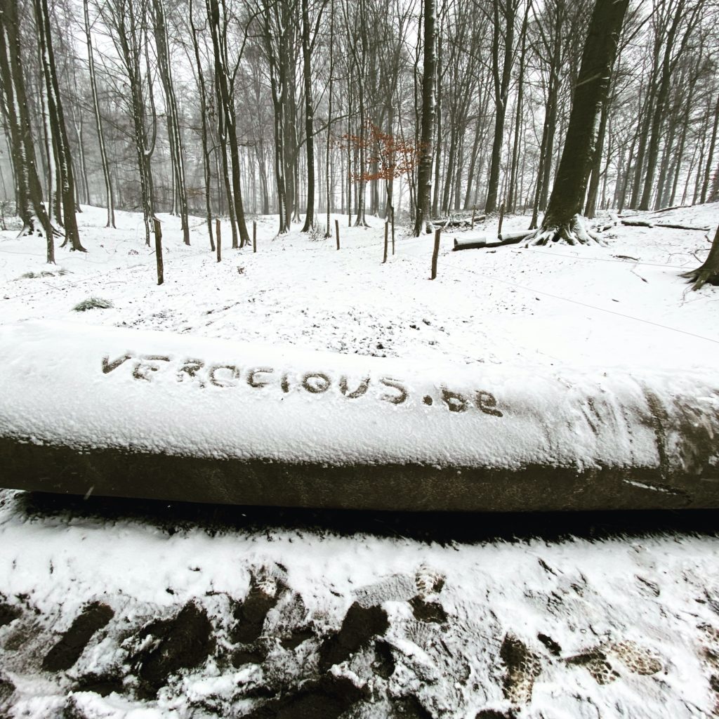 Besneeuwde boomstam met wndln.be op in Muziekbos te Ronse