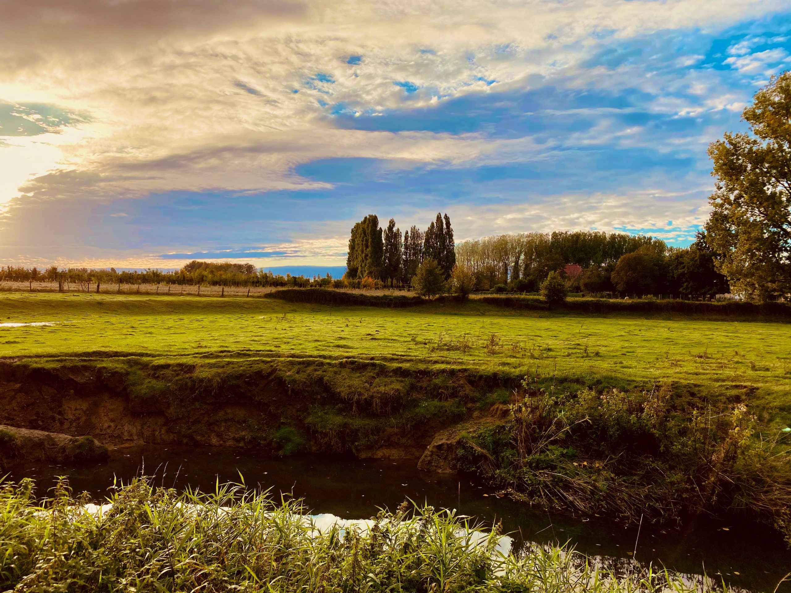 Meander van de Molenbeek. Weide en blauwe lucht.