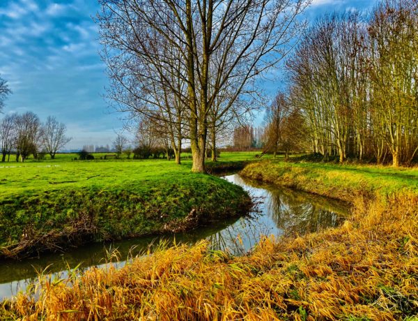 Meander van de Molenbeek in Wetteren