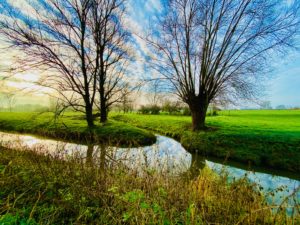 Meander van de Molenbeek in Wetteren, groene weides