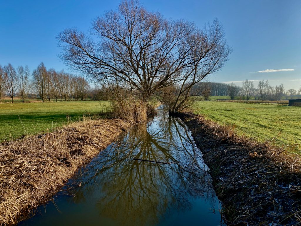 Eén van de vele grachten in de Kalkense Meersen