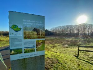 Infobord over natuurdomein Wijmeers in de Kalkense Meersen