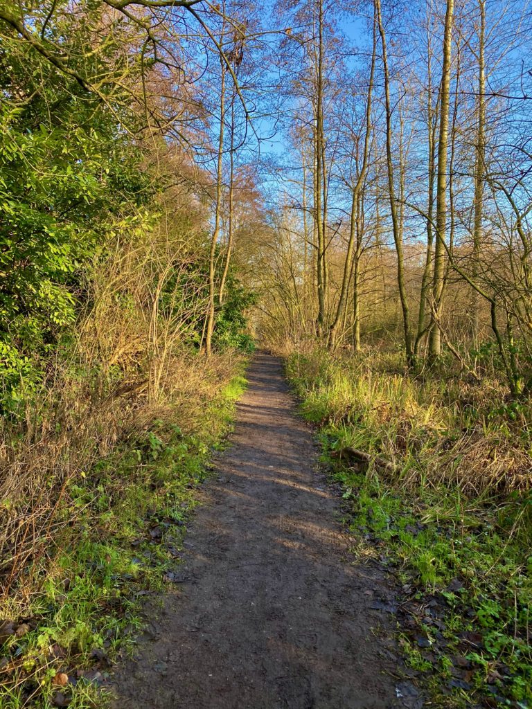 Pad in natuurdomein de Kalkense Meersen