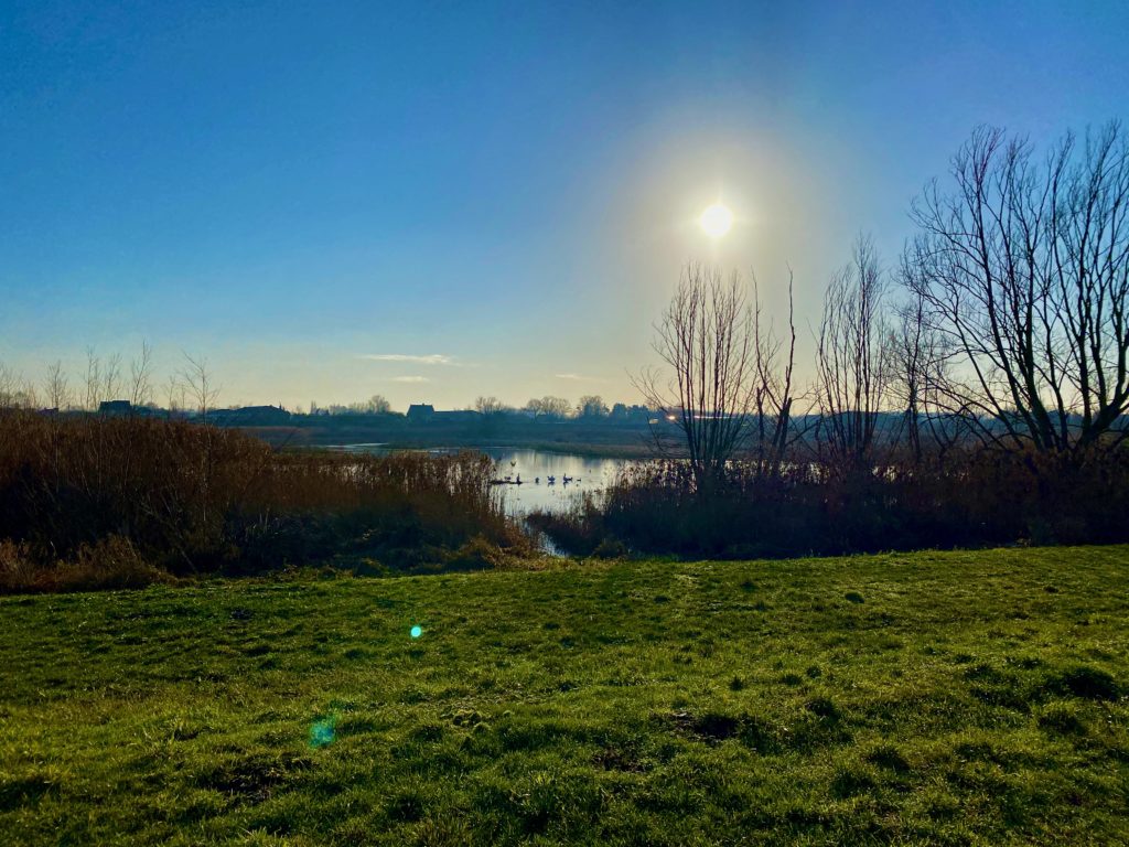 Winterzon, oude scheldemeander met watervogels in de Kalkense Meersen