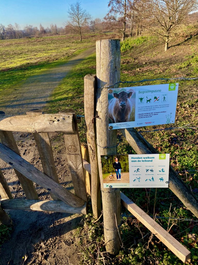 Hekje aan begrazingszone van de Galloway wandelroute in de Kalkense Meersen