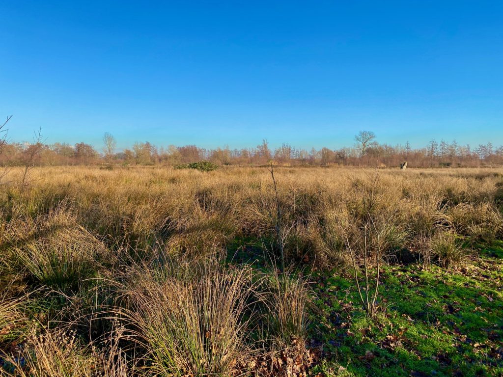 Wastine op de Galloway wandelroute in de Kalkense Meersen