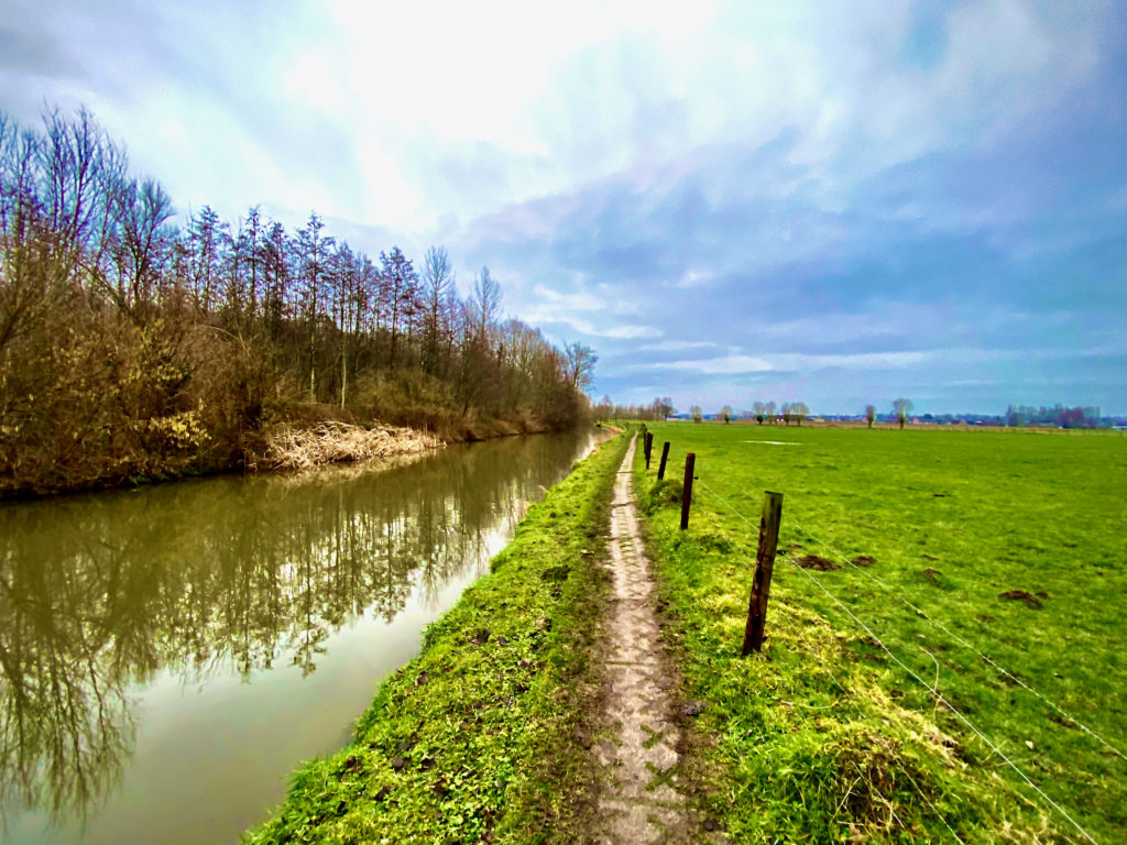 Oever van de Zwalmbeek in de Zwalmvallei
