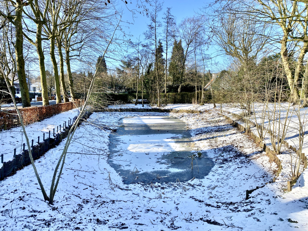 't Vijvertje, bevroren, Sint-Martens-Latem