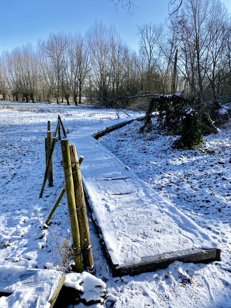 Knuppelpad op de Albijn Van den Abeele wandelroute in Sint-Martens-Latem