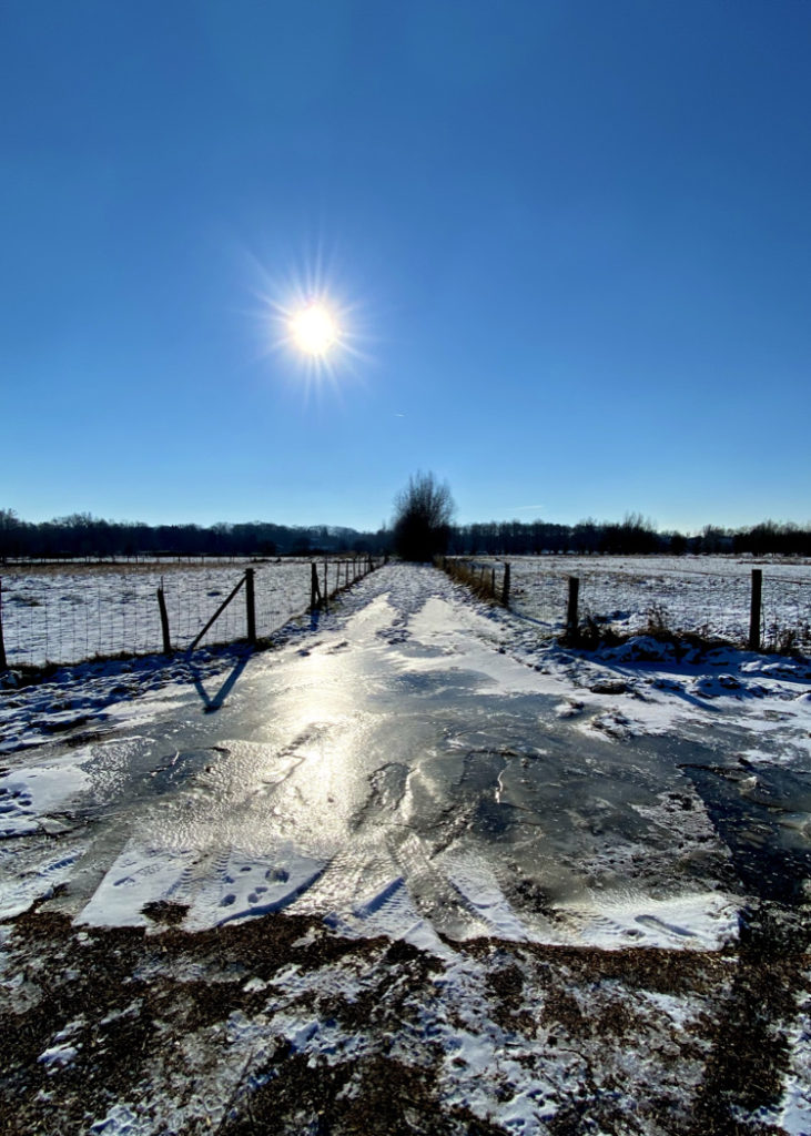 Latemse Meersen ijs winterzon