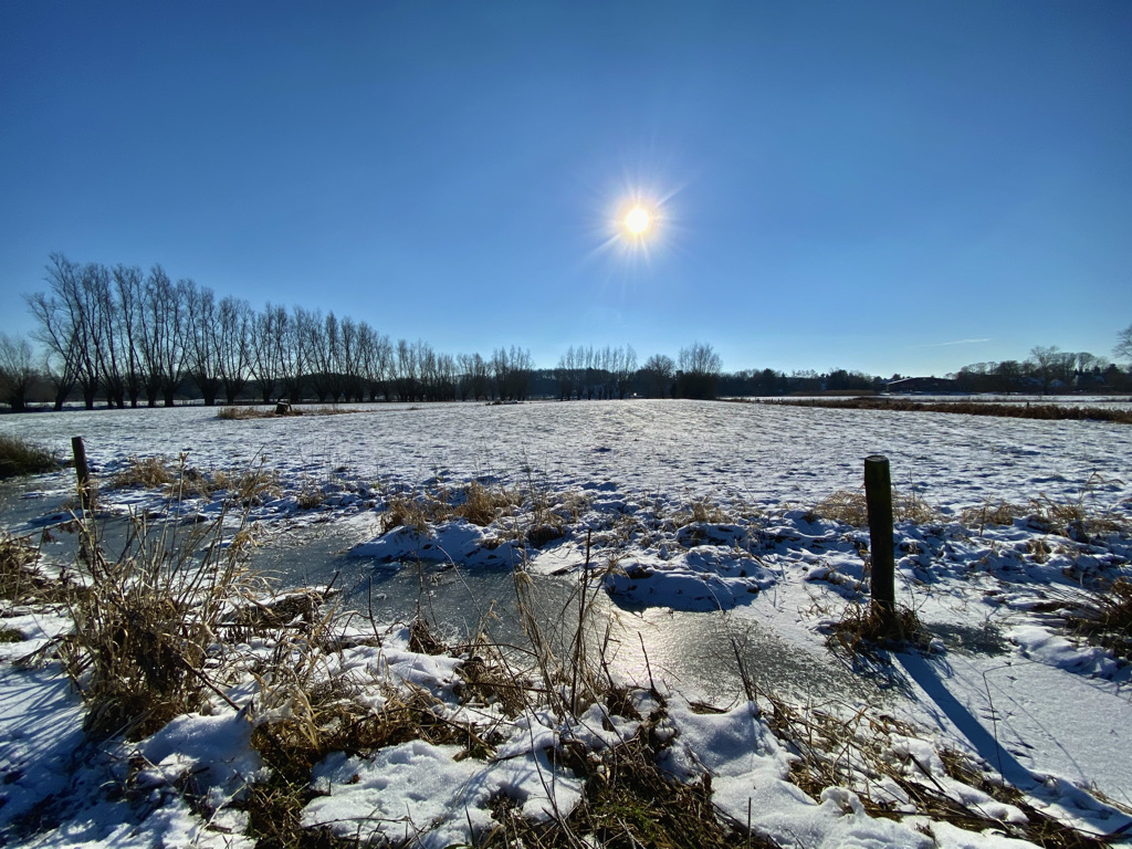 Latemse Meersen winterzon