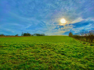 Landschap glooiende groene grasheuvel met blauwe lucht en zon