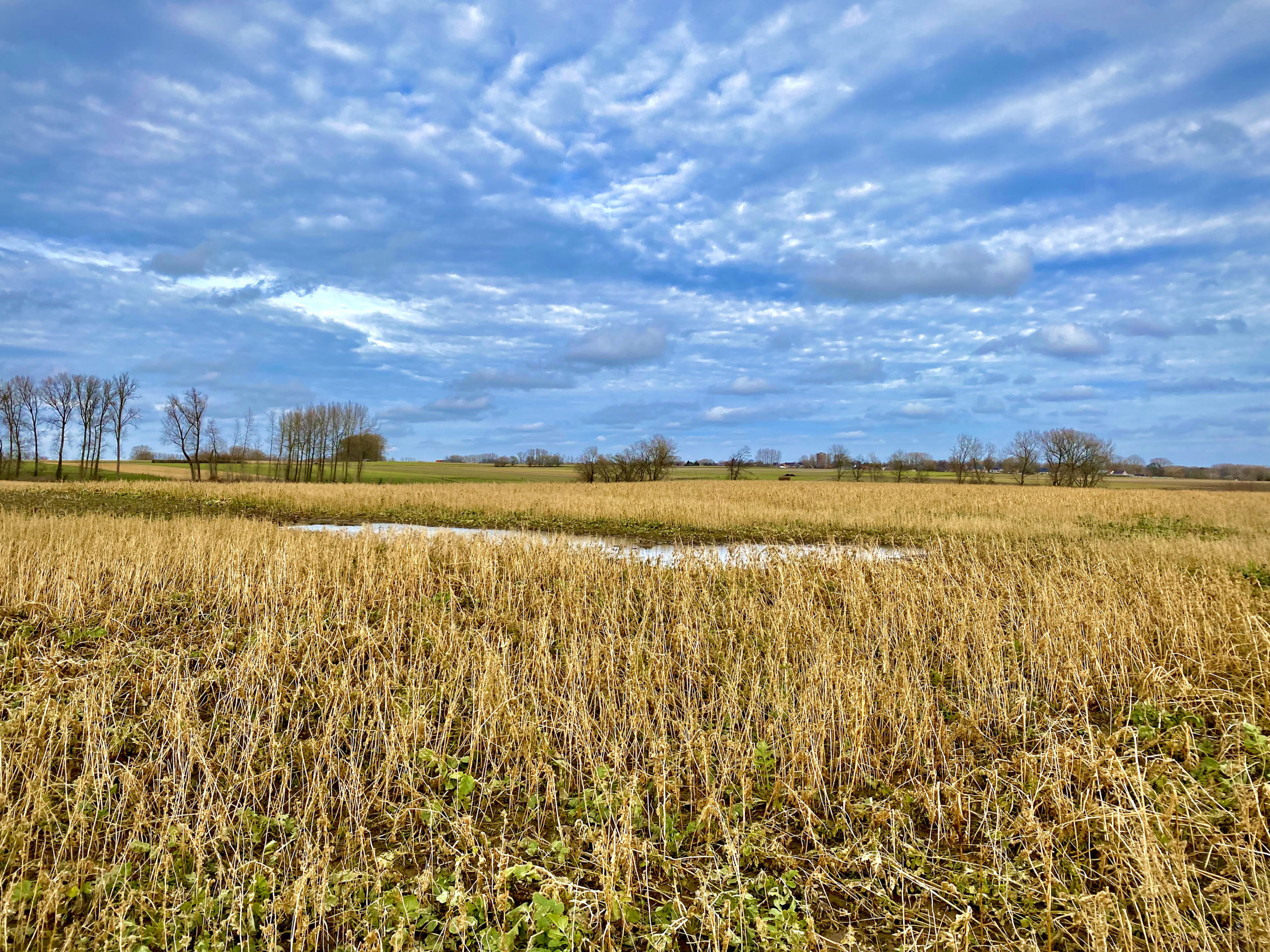 Landschap in Herzele