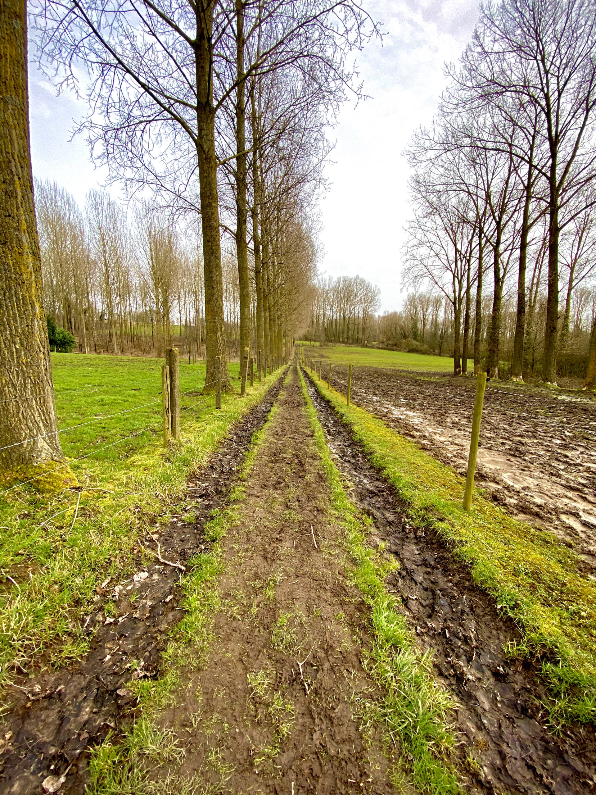 Veldweg in Herzele