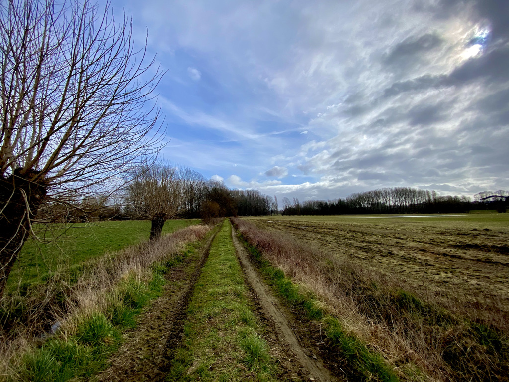 Veldweg in Wetteren Ten Ede