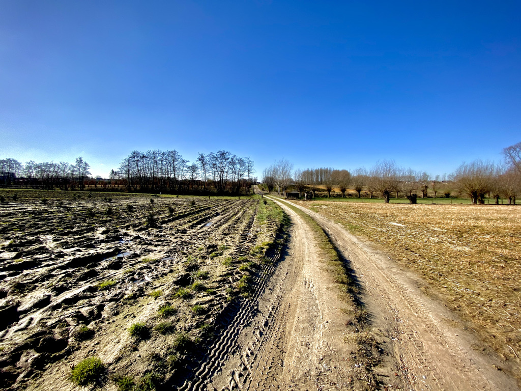 Lindepad wandelroute in Massemen (Wetteren)