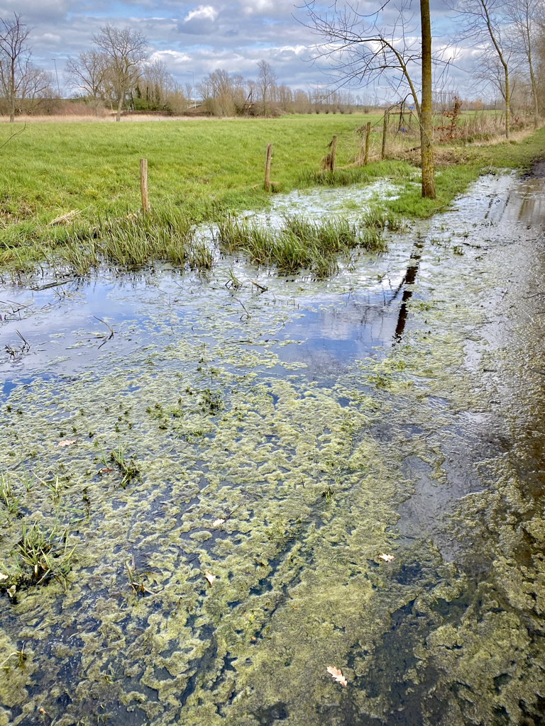 Keuzemeersen op de Afsnee-Keuze wandelroute