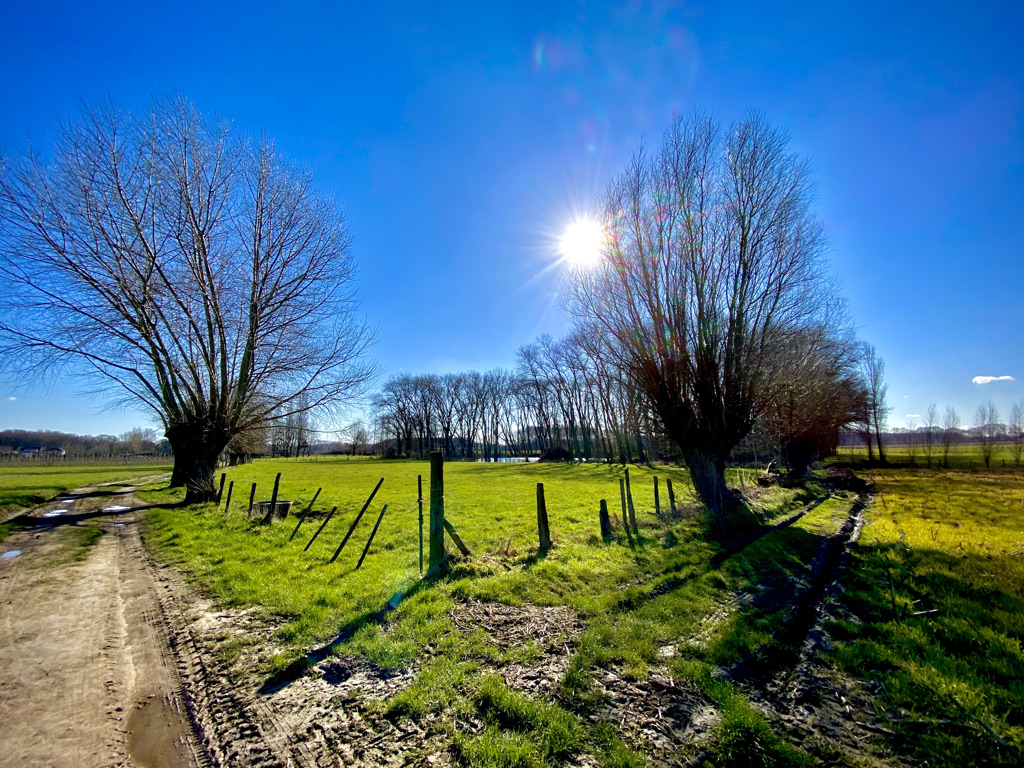 Landbouwweg langs het Lindepad in Wetteren