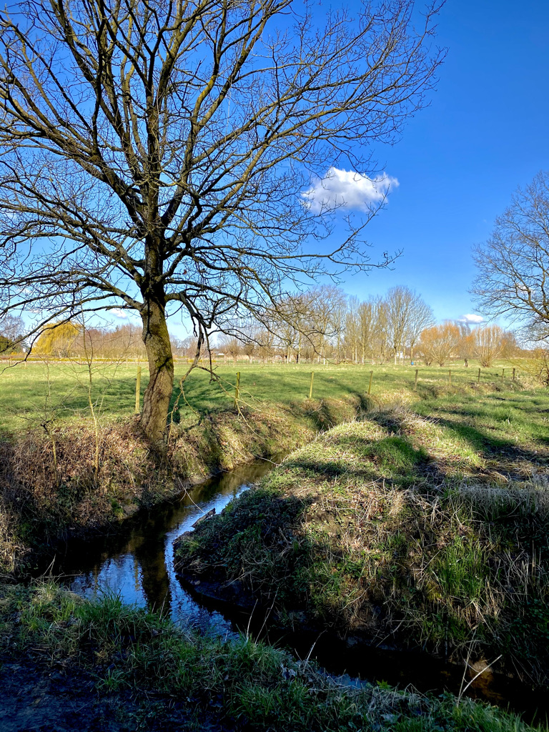 Lindepad wandelroute in Massemen (Wetteren)