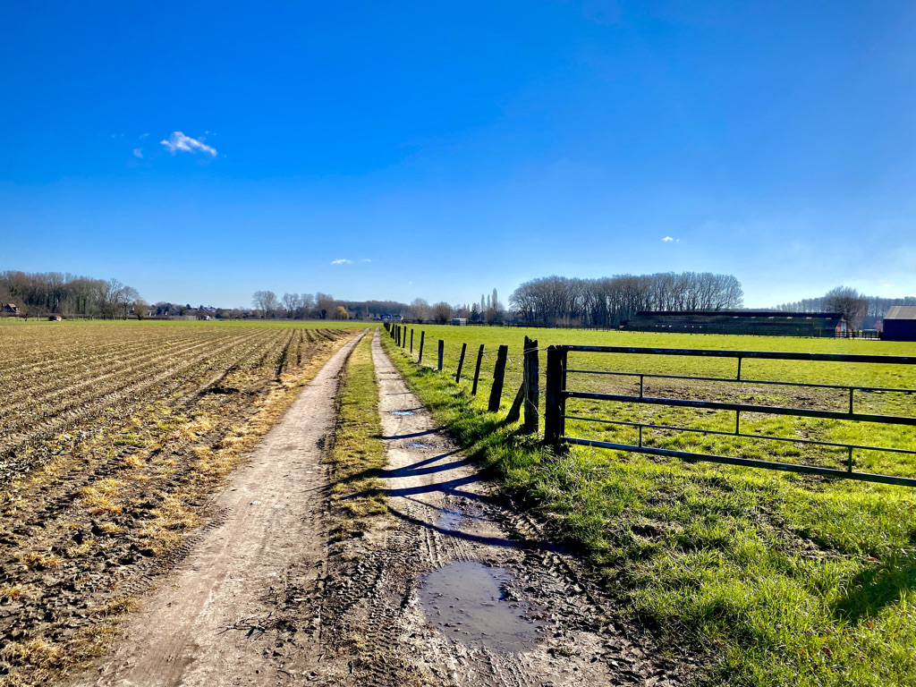 Landbouwweg langs het Lindepad in Wetteren