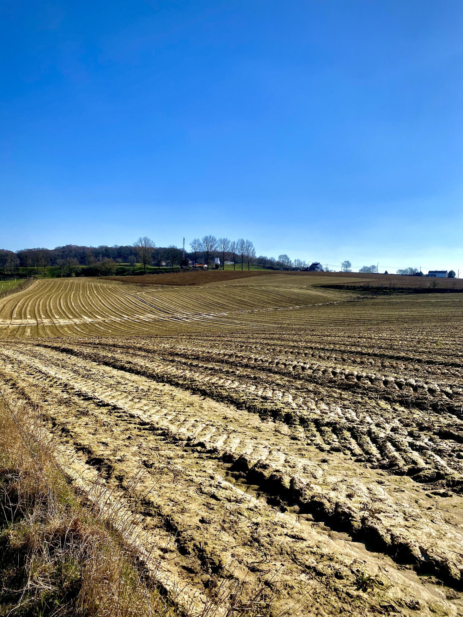 Omgeploegd land in glooiend landschap