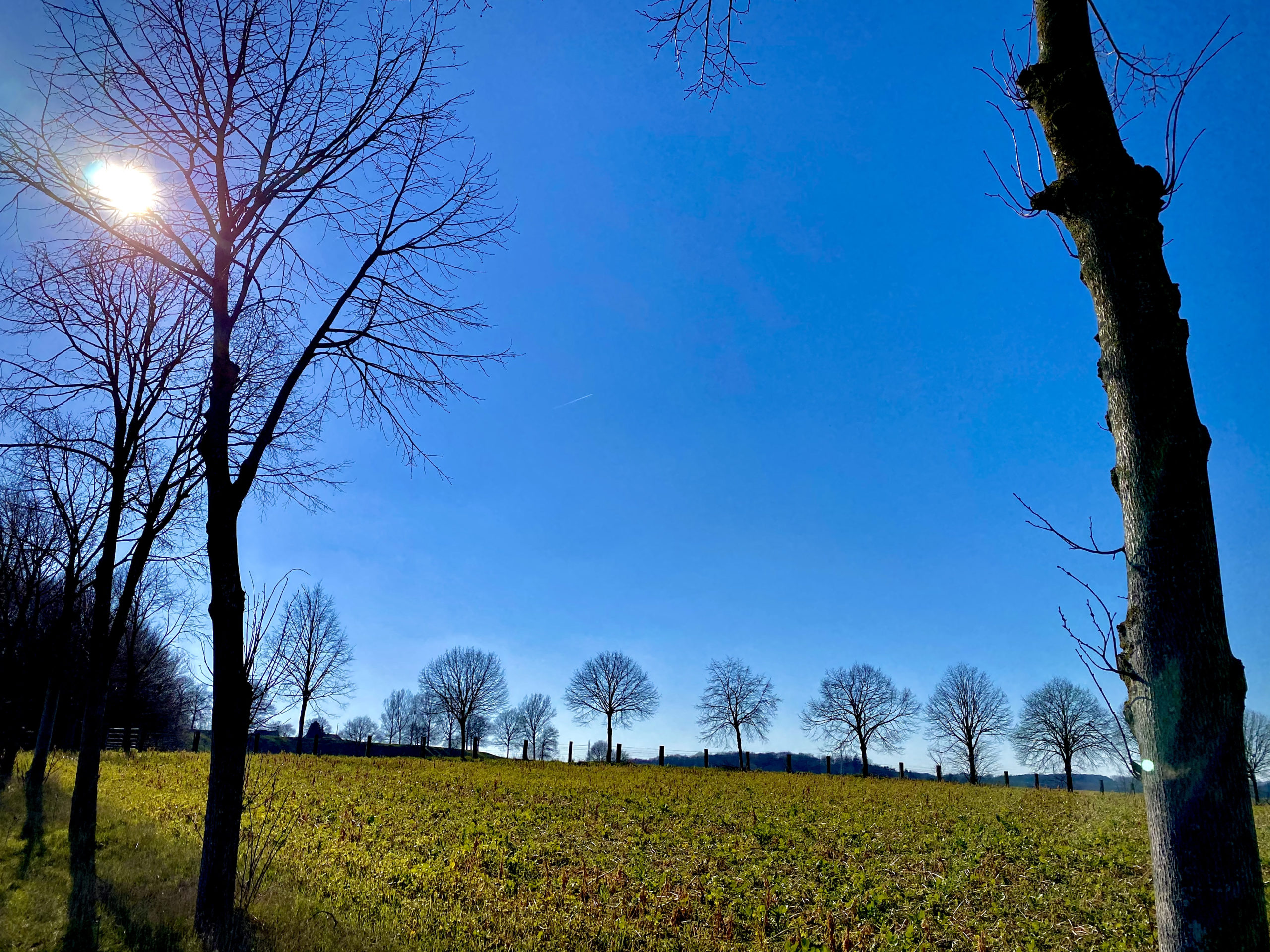 landschap blauwe lucht en bomen Panorama wandelroute Kluisbergen