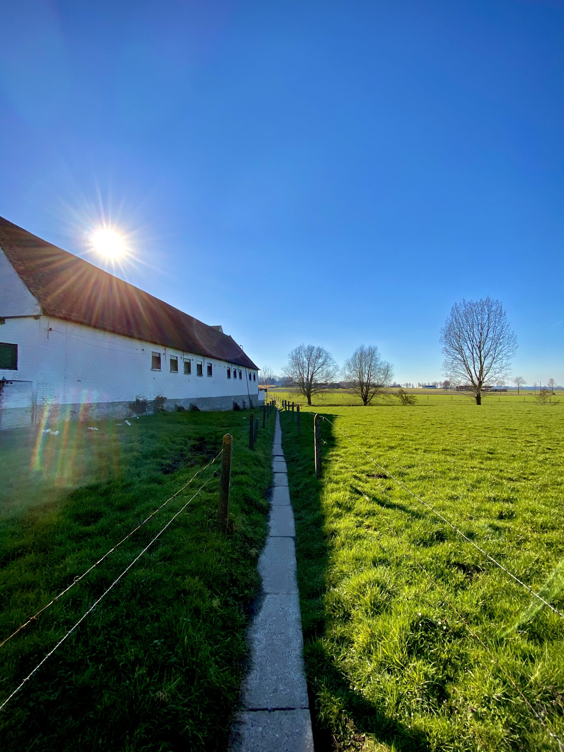 wit hoevegebouw en stralende zon op Panorama wandelroute Kluisbergen