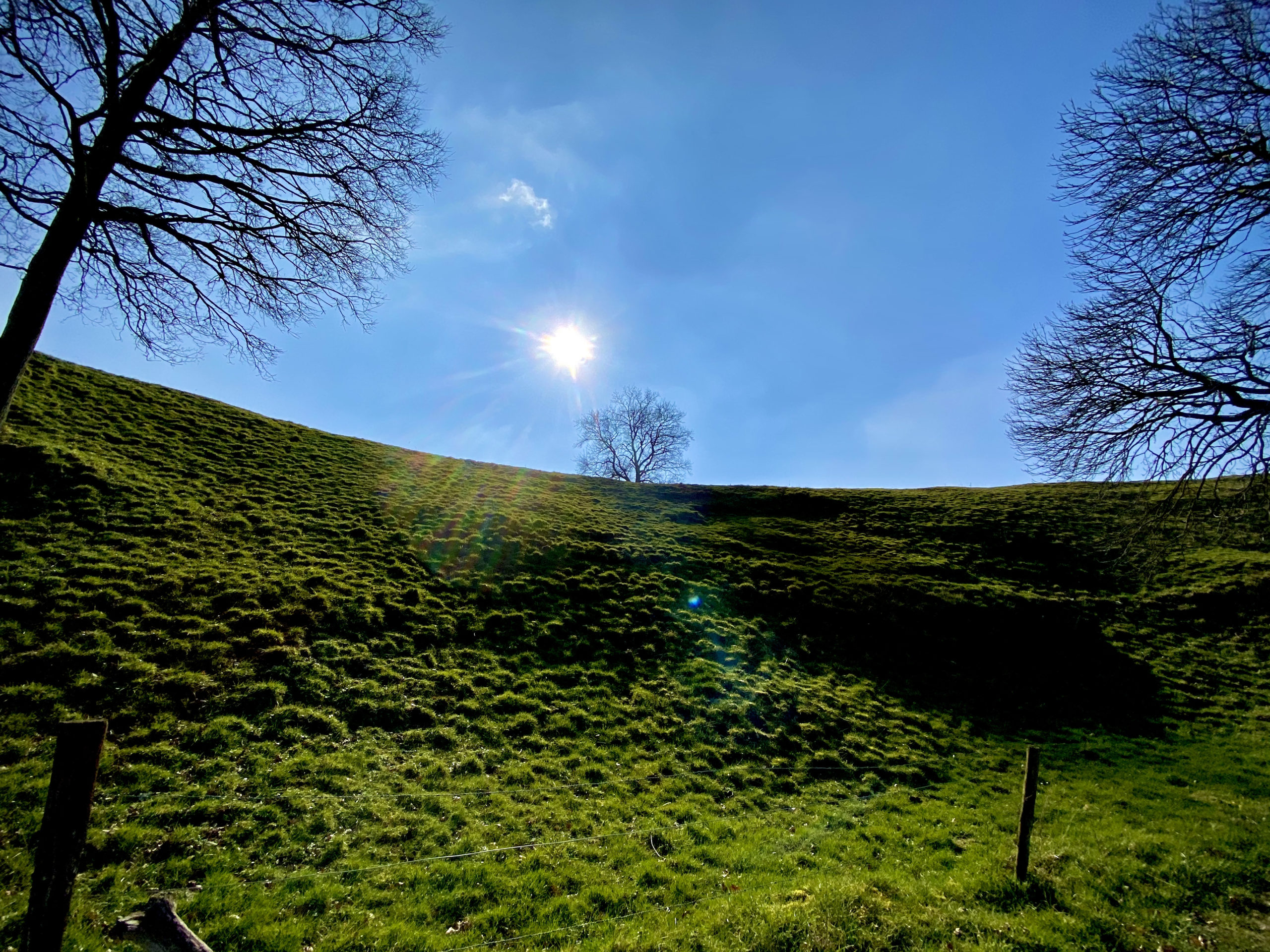 Groene heuvelflank Panorama wandelroute Kluisbergen