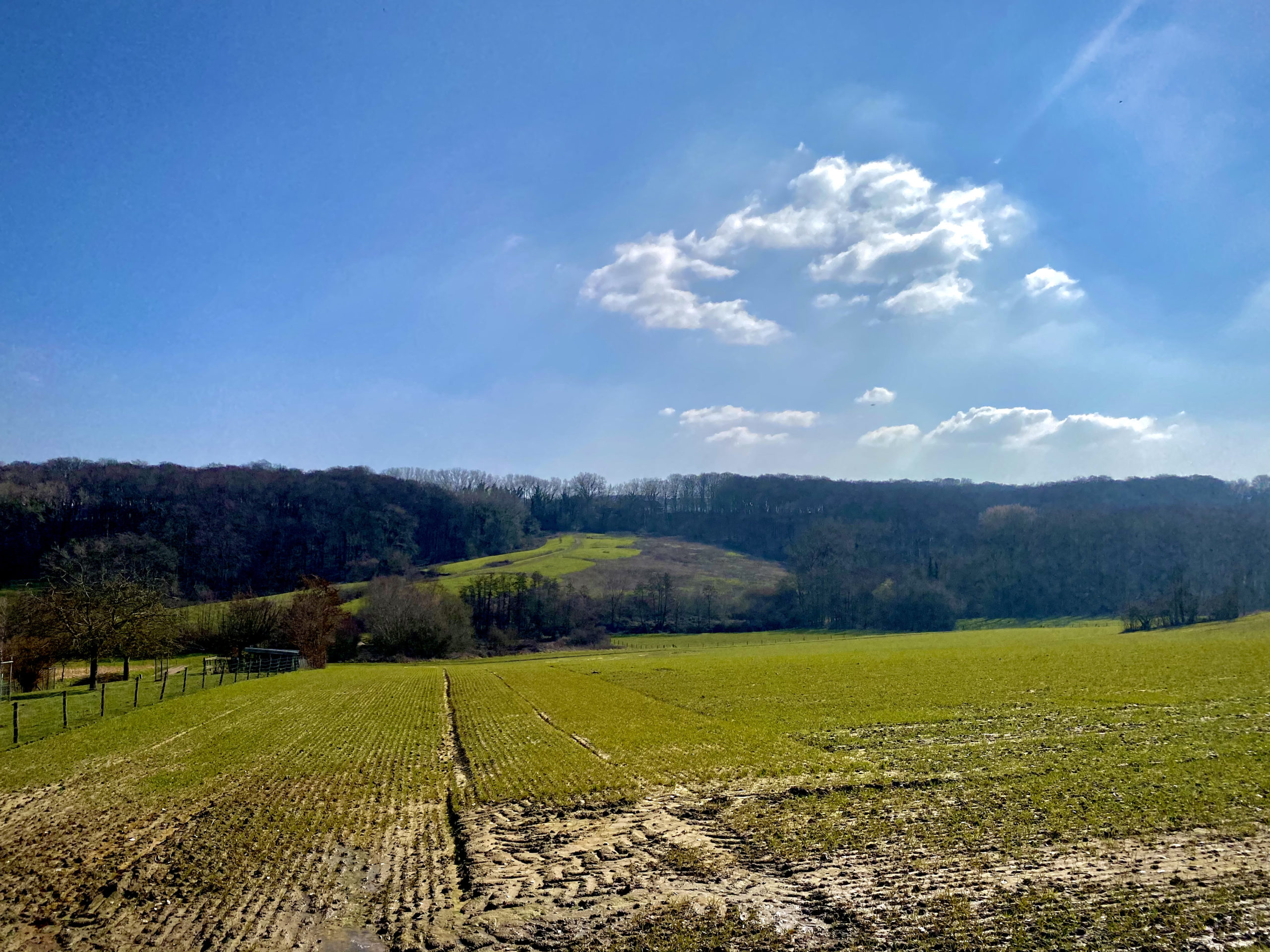 Panorama op Panorama wandelroute Kluisbergen