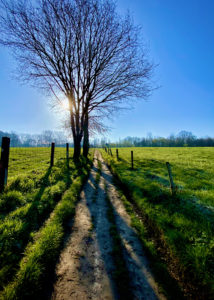 aardeweg op de Dauwtrip wandelroute te Maarkedal