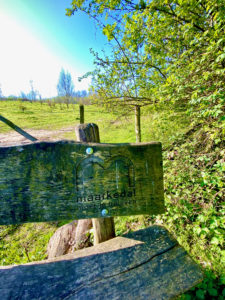 Bank in natuurgebied het Burreken op de Dauwtrip wandelroute te Maarkedal