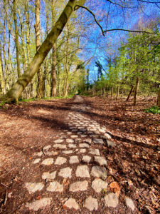 kasseipad op de Dauwtrip wandelroute te Maarkedal