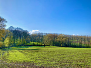 Wijds zicht van glooiende akker op de Dauwtrip wandelroute te Maarkedal