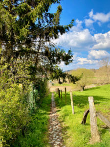 Kasseipad op de Dauwtrip wandelroute te Maarkedal