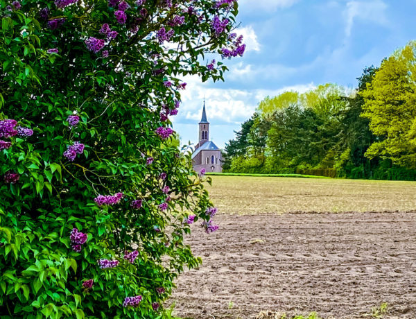 de kerk van Munte