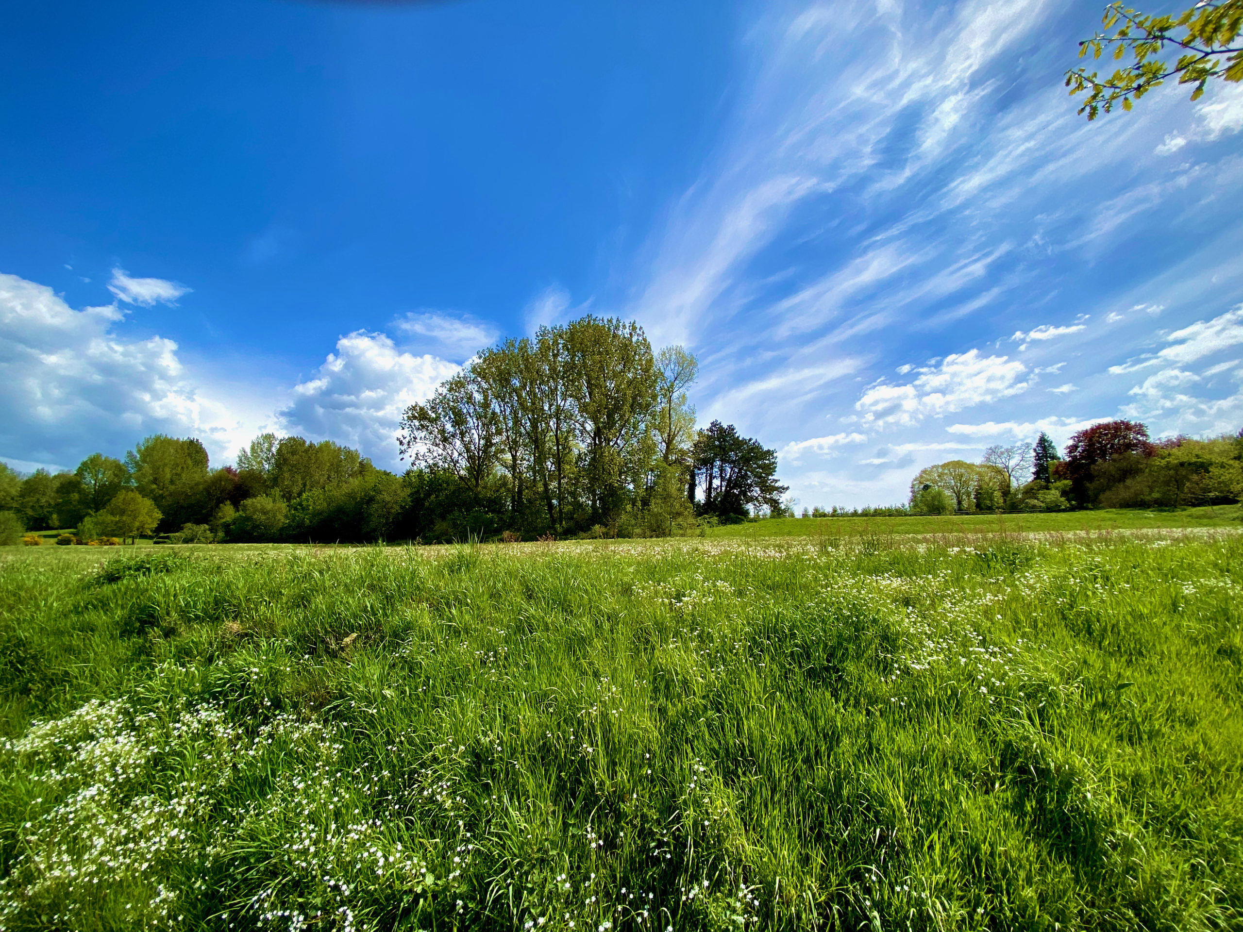 Driesbeekvallei te Merelbeke op de Asselkouter wandelroute