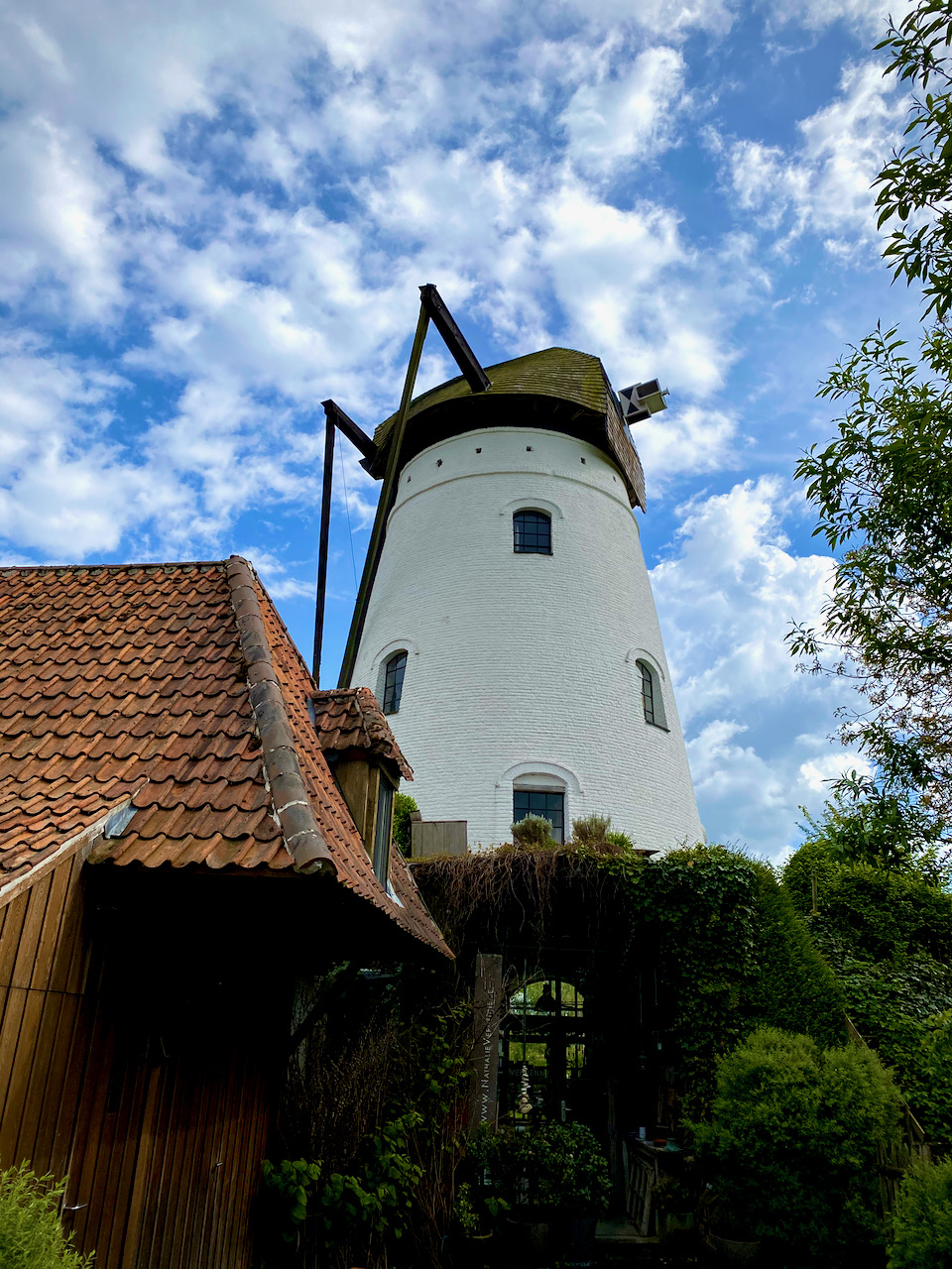 De Prinsenmolen in Baaigem op de Asselkouter wandelroute