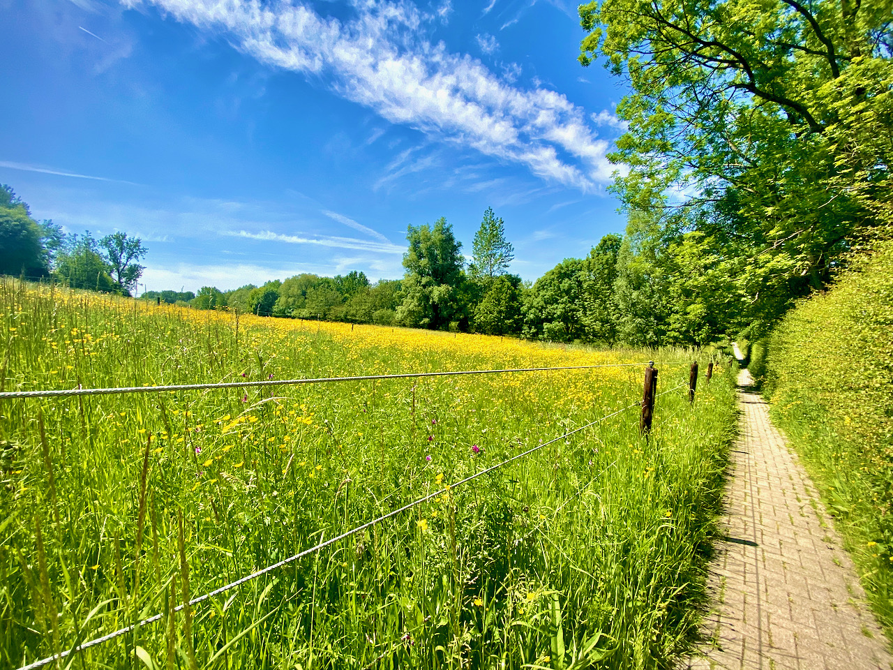 Start van de wandeling in de Merelbeekse Scheldemeersen