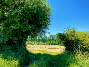 Agrarisch zicht in Galmaarden