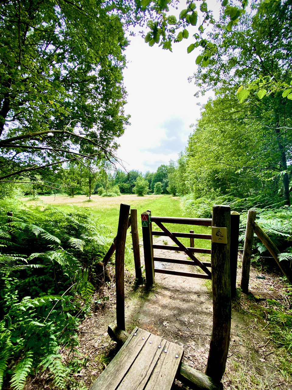 Knuppelpad in de Vallei van de Serskampse beek