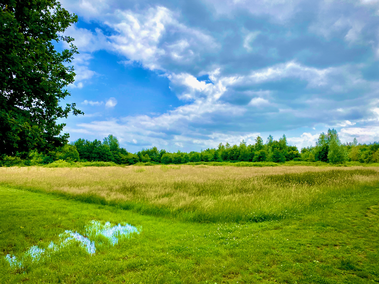 Vallei van de Serskampse beek op de 4 bossenwandeling