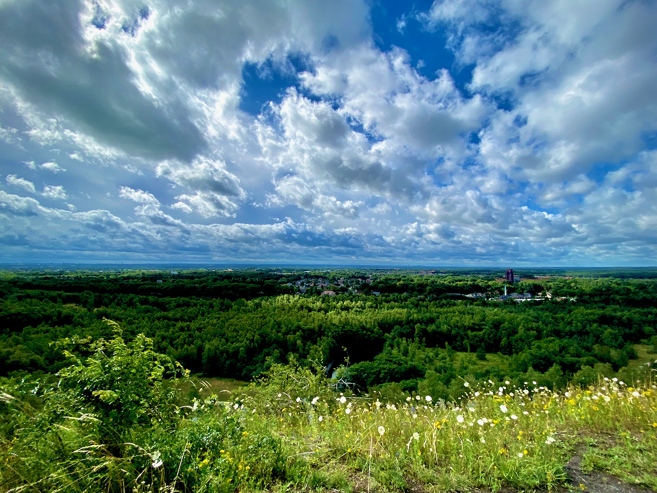 Panorama in het Nationaal Park Hoge Kempen in Eisden (Maasmechelen)