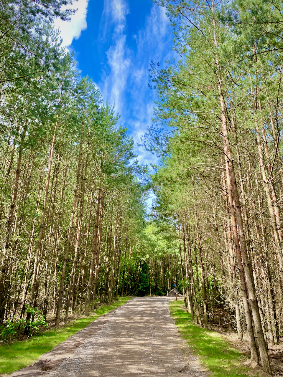 Pad in het Nationaal Park Hoge Kempen in Eisden (Maasmechelen)