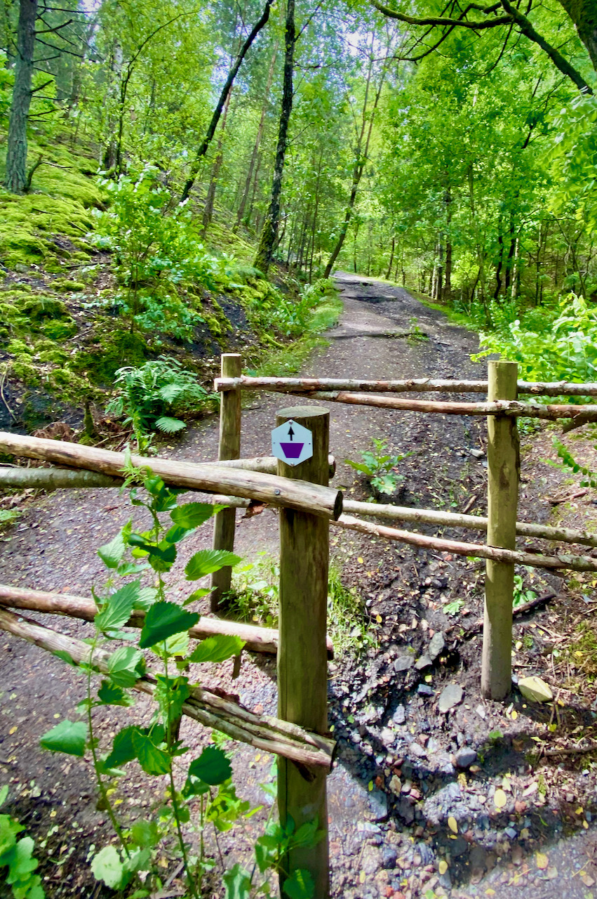 Steile beklimming in het Nationaal Park Hoge Kempen in Eisden (Maasmechelen)